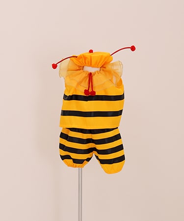 キッズフォトスタジオチョコ高槻店 衣裳の写真